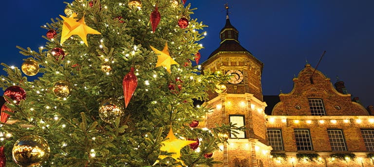 The Christmas tree in front of the Town Hall in Düsseldorf, Germany